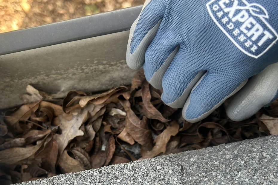 Gutter Cleaning Butner